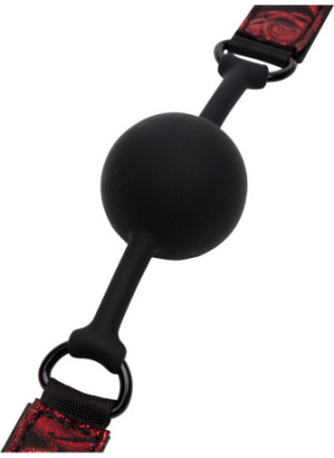 Sweet Anticipation Ball Gag